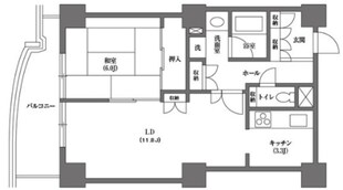 文京グリーンコートビュータワー本駒込 B棟の物件間取画像